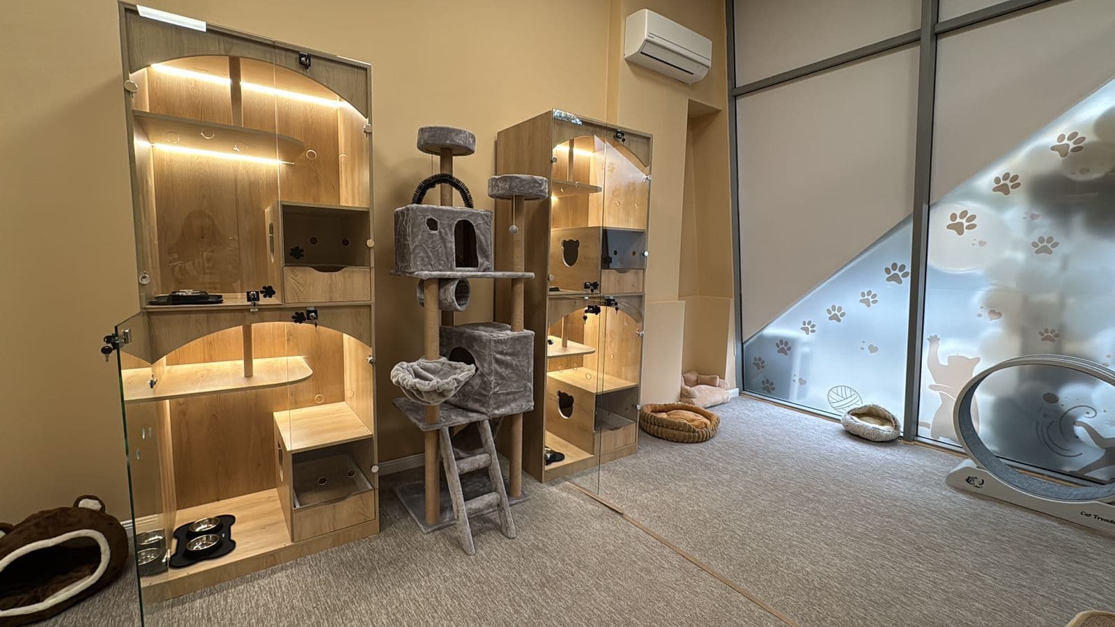 The Meowtel interior with wooden suites and cat tree