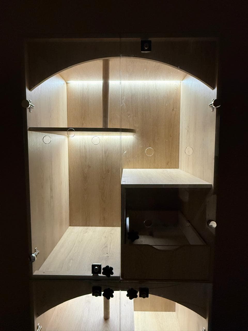 A wooden cat suite with warm lighting