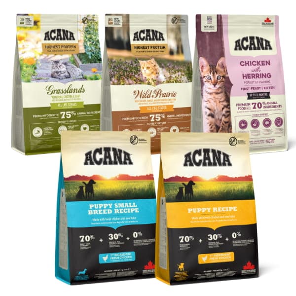 Acana premium dry food