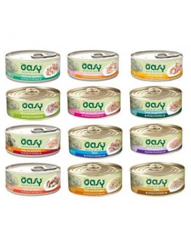 Oasy wet food