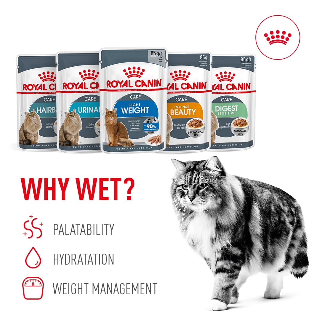 Royal Canin wet food