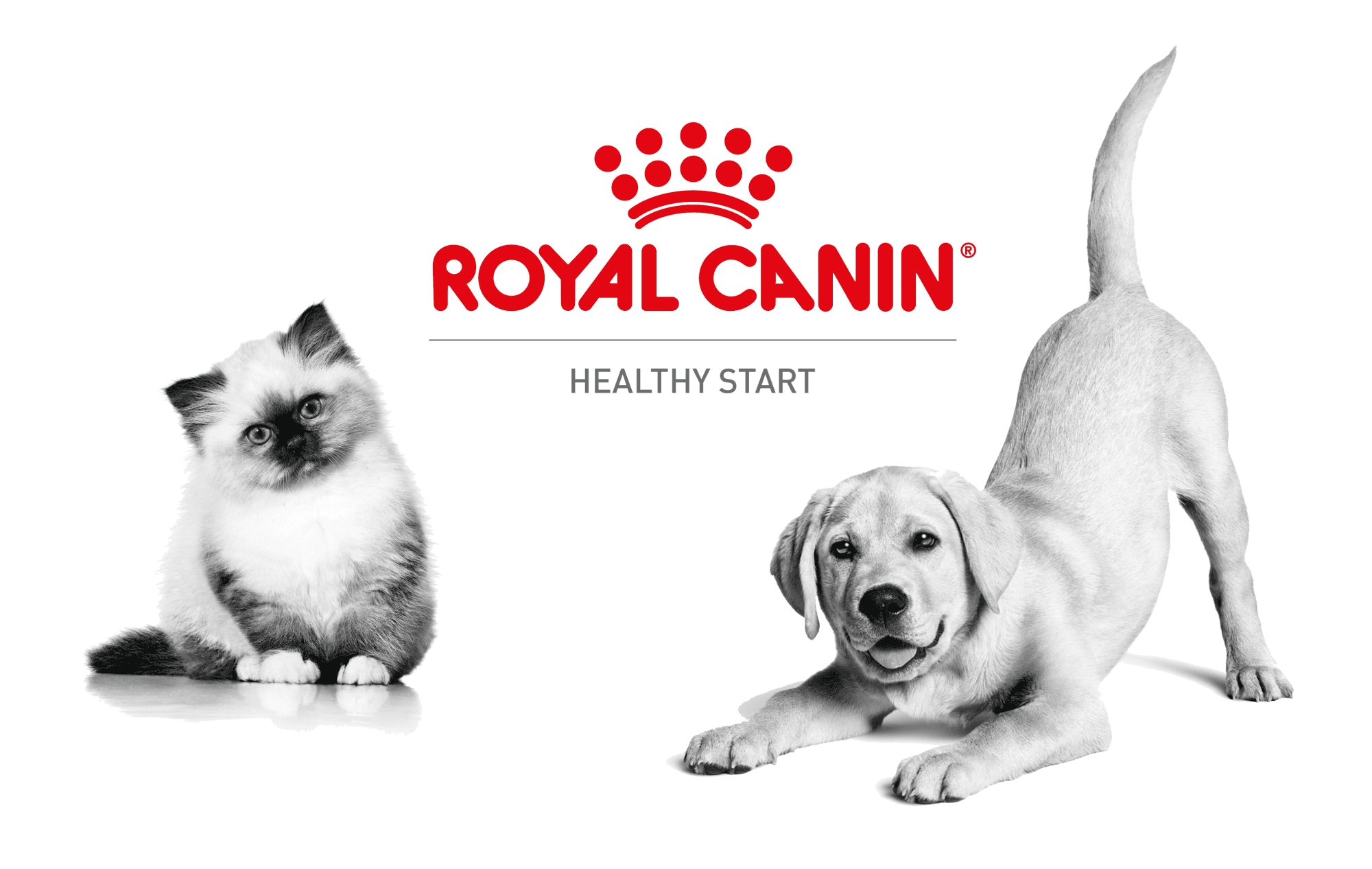 Royal Canin pet food